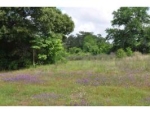 TBD Hwy 84 (appr 2 acres) Level Plains, AL 36322 - Image 2363213