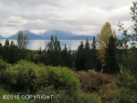 Lot 14 Kestrel Circle Homer, AK 99603 - Image 2363384