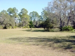 1950 County Rd 308 0000 Crescent City, FL 32112 - Image 2364365