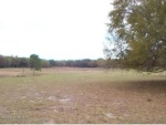 1861 County Road 308 Crescent City, FL 32112 - Image 2364372