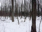 96 Acres Stonecroft Dr Port Washington, WI 53074 - Image 2365245