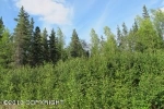 3401 W Coghlan Circle Wasilla, AK 99654 - Image 2365772