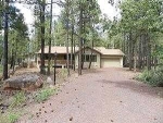 Black Bear Pinetop, AZ 85935 - Image 2365793