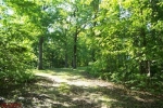 4959 Big Creek Rd Rosebud, MO 63091 - Image 2373203