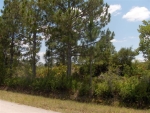 1000 CONCORDE PKWY NW Lake Placid, FL 33852 - Image 2401627