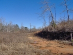 610 Mary C. Smith Rd. Midway, AL 36053 - Image 2414417