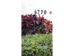 6770 ROYAL PALM BL # 108-1 Pompano Beach, FL 33063 - Image 2438067