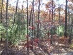 LOT 77 RIVERWALK ON Mineral Bluff, GA 30559 - Image 2438890