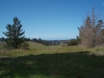 68 Acres Cambria, CA 93428 - Image 2439286