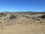 61554 High Country Trl Anza, CA 92539 - Image 2439443