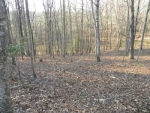 0 Rivercrest Lane Mineral Bluff, GA 30559 - Image 2441313