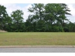 TBD Hwy 84 (1 Acre) Level Plains, AL 36322 - Image 2442314