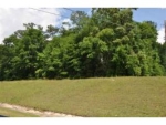 TBD Hwy 84 (Apprx 1 acre) Level Plains, AL 36322 - Image 2442315