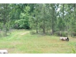 TBD Hwy 84 (apprx 6 acres) Level Plains, AL 36322 - Image 2442316