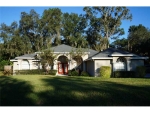 20907 RAGAN LN Land O Lakes, FL 34638 - Image 2442831