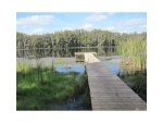 2107 CAMP INDIANHEAD RD Land O Lakes, FL 34639 - Image 2442829