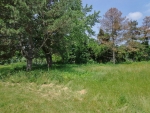 1862 Dick Rd Ionia, MI 48846 - Image 2442865