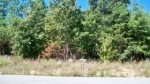 LOT 674 HAWKS BLUFF Spencer, TN 38585 - Image 2447207