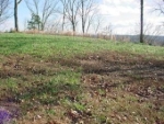 LOT 27 RIVER BREEZE Sugar Tree, TN 38380 - Image 2447208