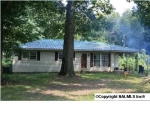 332 Matkins Cove Road Laceys Spring, AL 35754 - Image 2477938