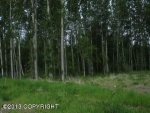 7603 E Downstream Drive Palmer, AK 99645 - Image 2499309