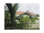 10885 NW 89 TE # 212 Miami, FL 33178 - Image 2502444