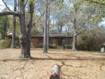 1963 Forest Oaks Dr W Mobile, AL 36618 - Image 2502519