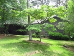 13 Dover Drive Se Rome, GA 30161 - Image 2503833