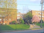 81 Grand Ave #3A Englewood, NJ 07631 - Image 2504852