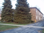 8647 Central Avenue Unit 1C Burbank, IL 60459 - Image 2505996