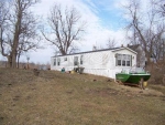 13421 PIKE 252 Louisiana, MO 63353 - Image 2507101