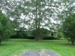 5401 HWY 262 Pelham, GA 31779 - Image 2509287