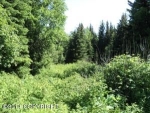 1441 East End Road Homer, AK 99603 - Image 2509528