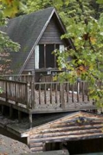 182 Hummingbird Cove Lake Lure, NC 28746 - Image 2510261