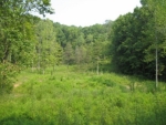 30 AC. WILLOW GROVE HWY. Allons, TN 38541 - Image 2511301