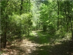 0 MAUSS HILL RD Adams Run, SC 29426 - Image 2511752