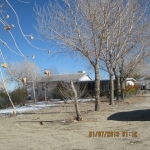 10201 Wintergreen Rd Pinon Hills, CA 92372 - Image 2511905