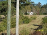 9087 S US 231 Dothan, AL 36303 - Image 2512009