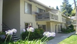 1241 Homestead Avenue Unit 221 Walnut Creek, CA 94598 - Image 2513591