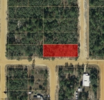 LOT 11 INTERLACHEN Interlachen, FL 32148 - Image 2514226