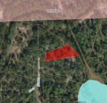 LOT 34 INTERLACHEN Interlachen, FL 32148 - Image 2514224