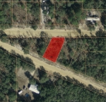 LOT 3 INTERLACHEN LAKE Interlachen, FL 32148 - Image 2514225