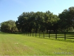 CR 245E Oxford, FL 34484 - Image 2515448