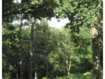 Lot 15 Kings Hill Estate Berryville, AR 72616 - Image 2521964