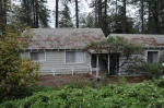 288 Horseshoe Dr Hathaway Pines, CA 95233 - Image 2559117