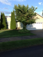 13007 11th Ave Ct E Tacoma, WA 98445 - Image 2559922