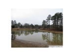 WHISKERS LN 53 Pell City, AL 35128 - Image 2560113