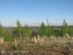 1064 S Southdowns Road Big Lake, AK 99652 - Image 2569277