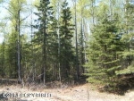 5408 S Garrett Drive Big Lake, AK 99652 - Image 2569278