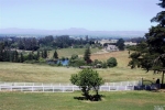 6430 Orchard Station Rd Sebastopol, CA 95472 - Image 2570202